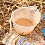 Casal Mineirano: Carisma, Autenticidade e Parcerias de Sucesso no Mundo Digital